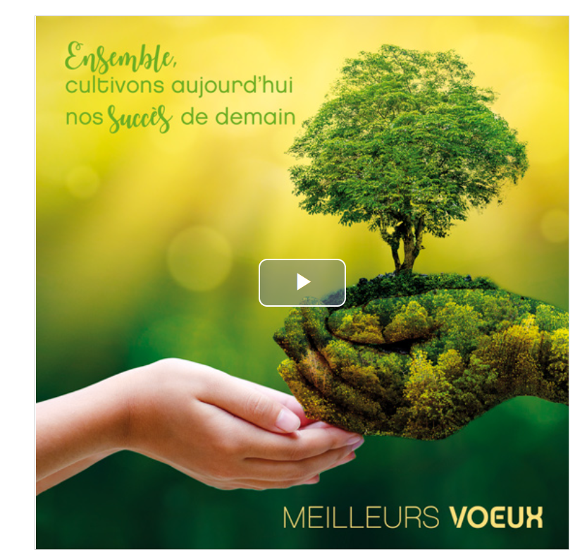 E-cards animées, cartes graphiques : les solutions Photosud pour vos vœux 2015…